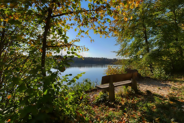 日本夺世界 日本夺世界