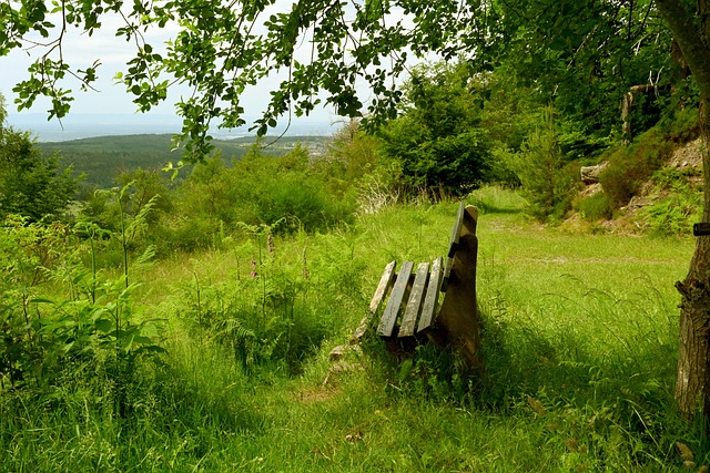 去的续约策 去的续约策