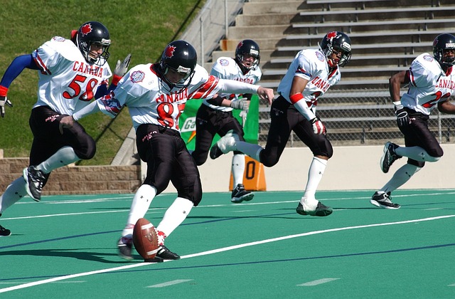 动伤害管理 动伤害管理