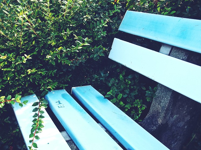 法晋级的重 法晋级的重